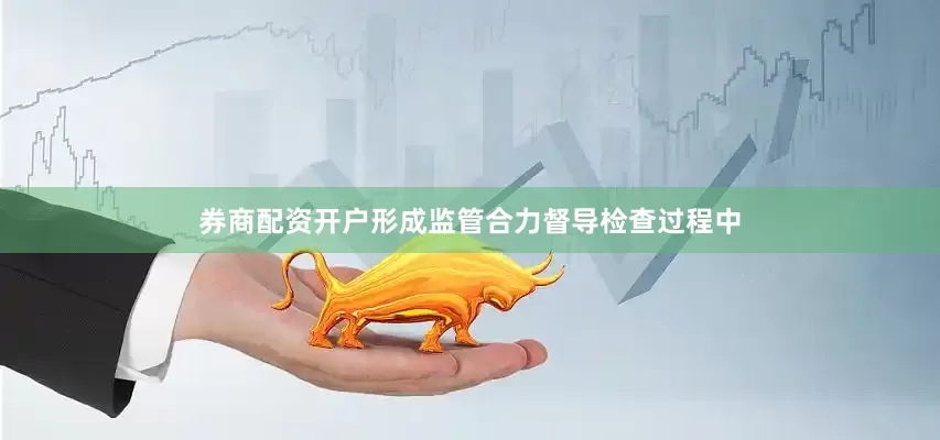 券商配资开户形成监管合力督导检查过程中