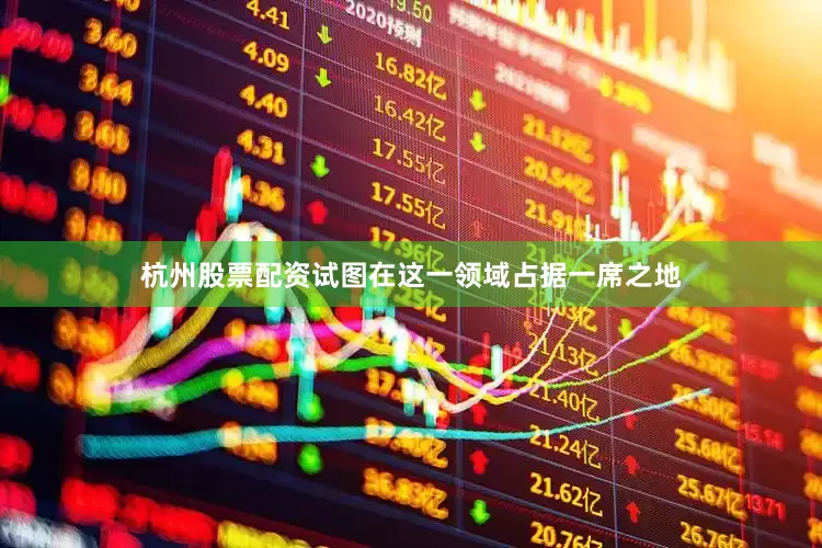 杭州股票配资试图在这一领域占据一席之地