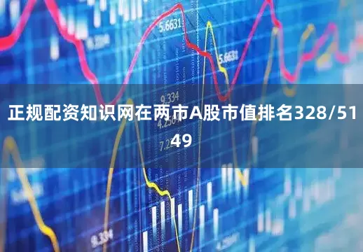 正规配资知识网在两市A股市值排名328/5149