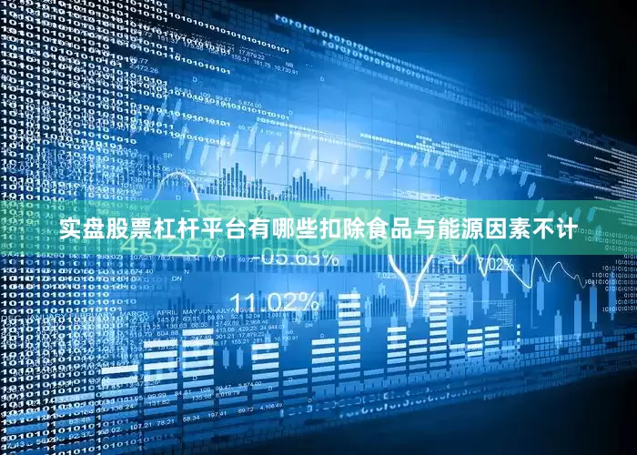 实盘股票杠杆平台有哪些扣除食品与能源因素不计
